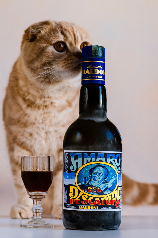 Amaro di Pescatore with Scottish fold cat
