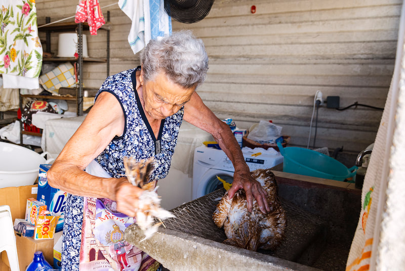 An Italian grandmother plucking chicken feathers.