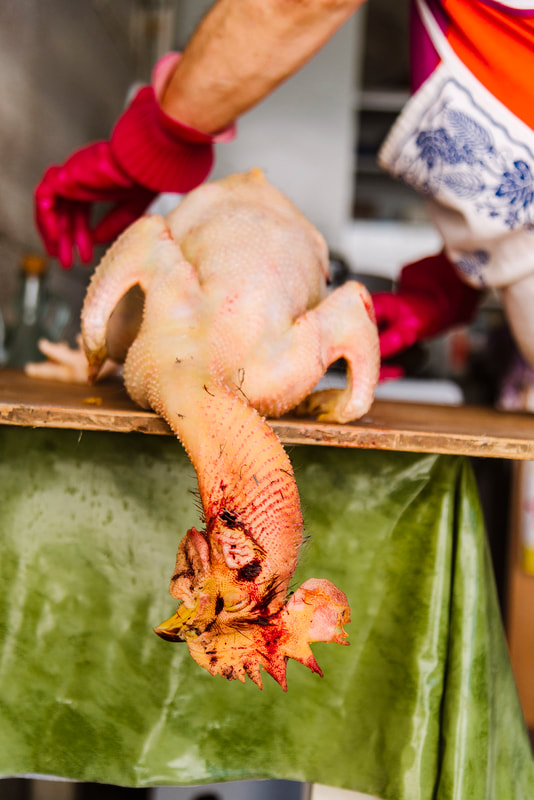 Italian woman cleaning a dead chicken.