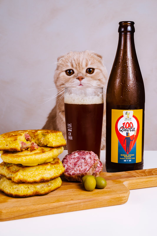 Dunkel style beer poured in a glass with yellow pancakes in the foreground. A Scottish fold cat staring at the food and beer in the background. 